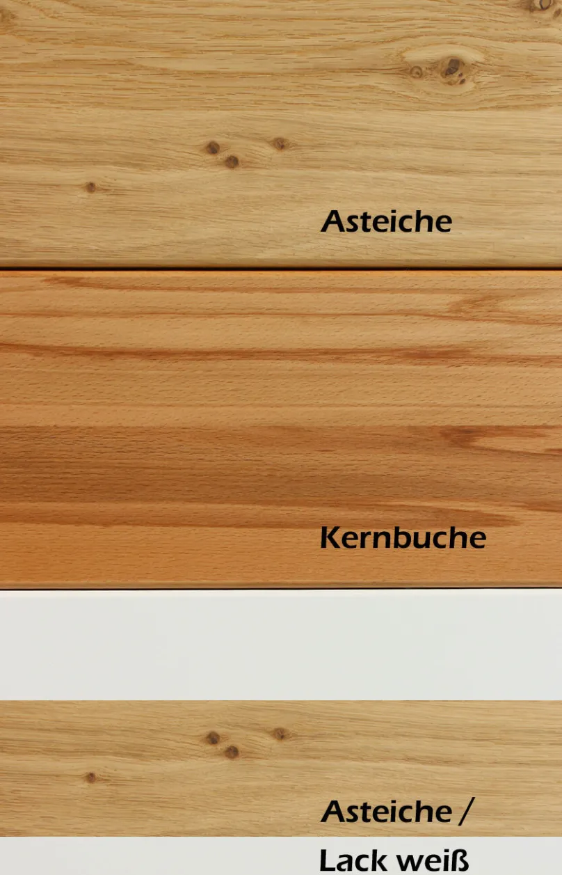 Online Andorra Wohnzimmermöbel modern Bücherregale|Highboards