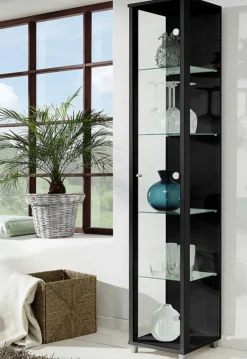 Glasvitrine schmal in 7 Farben Vitrinen|Glasvitrinen