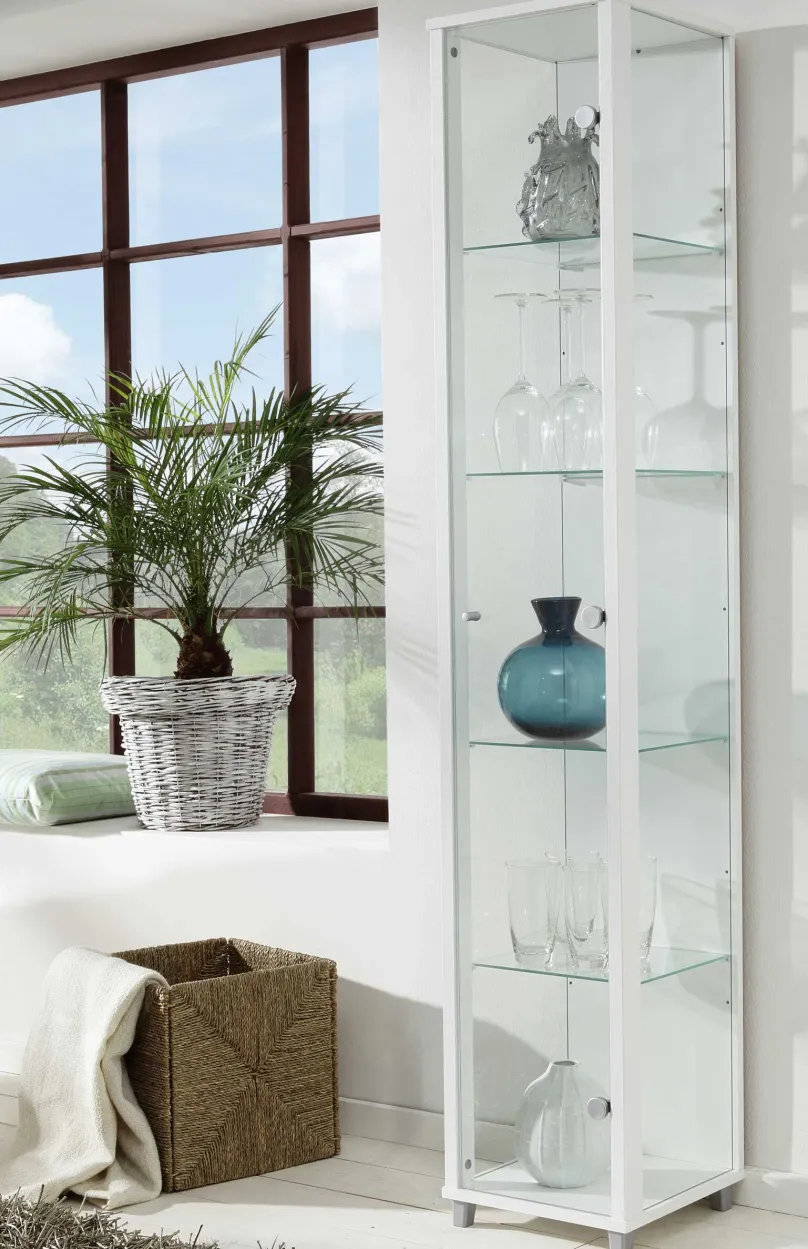 Glasvitrine schmal in 7 Farben Vitrinen|Glasvitrinen